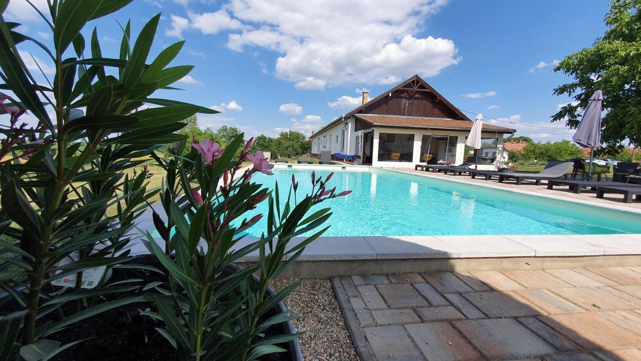 Bed and Breakfast Tisza White House Tiszaszolos Exteriér fotografie