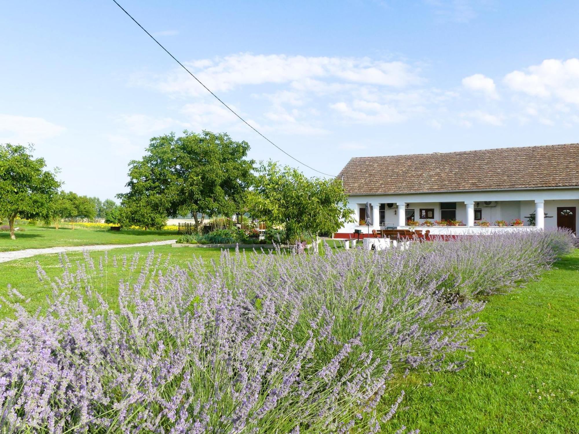 Bed and Breakfast Tisza White House Tiszaszolos Exteriér fotografie