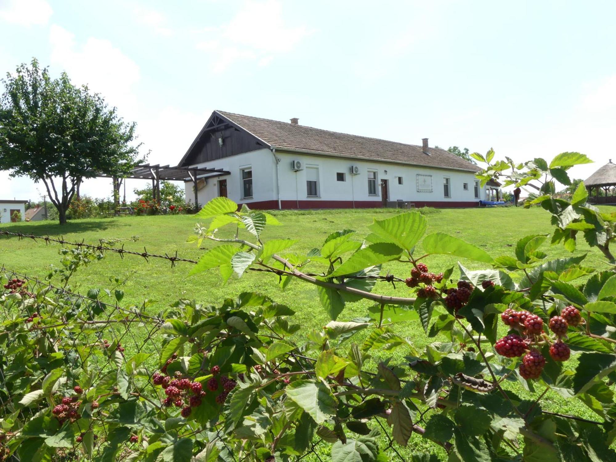Bed and Breakfast Tisza White House Tiszaszolos Exteriér fotografie