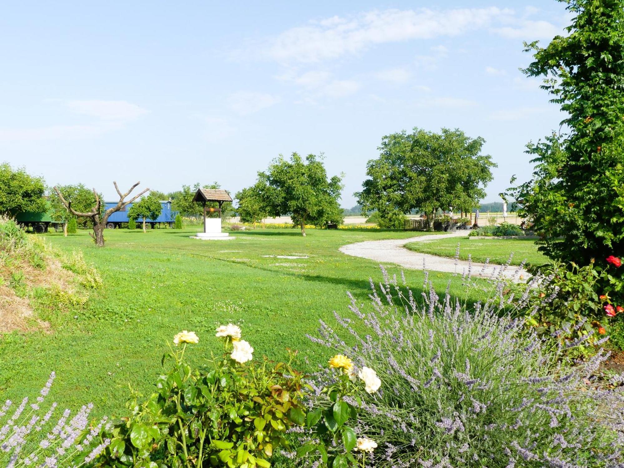 Bed and Breakfast Tisza White House Tiszaszolos Exteriér fotografie